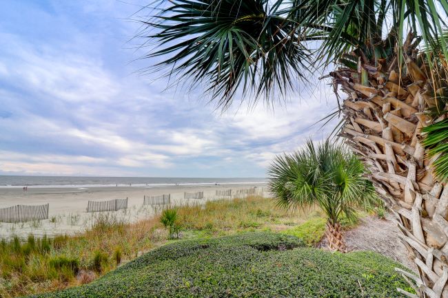 Resort Turtle Lane Club Vacation Rentals